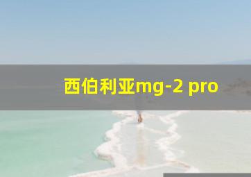 西伯利亚mg-2 pro